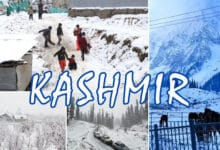 Kashmir Turns into a Snowy Wonderland: Season's First Snowfall Mesmerizes Valley