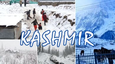 Kashmir Turns into a Snowy Wonderland: Season's First Snowfall Mesmerizes Valley