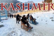 Kashmir Endures Intense Cold Wave with Freezing Temperatures; Light Snowfall Expected