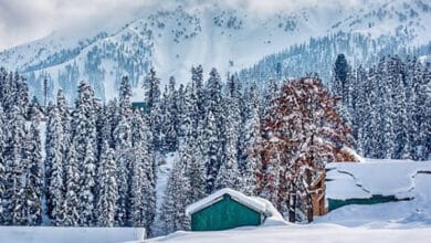 Intense Cold Wave Grips Kashmir: Snowfall and Sub-Zero Temperatures Predicted for the Coming Week