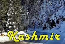 Severe Winter Winds Continue in Kashmir; Nighttime Temperatures Plunge to -23°C