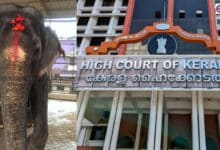 Kerala temple trusts move SC challenging restrictions on elephant management in Thrissur Pooram