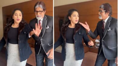 MAKHNA Amitabh Bachchan and Madhuri Dixit’s Lookalikes Groove to ‘Makhna,’ Internet Amazed