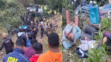 Three dead, several injured as bus falls into gorge in Nainital, rescue operations underway