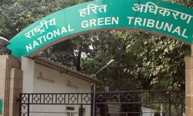 NGT orders thermal power plants at Aurangabad’s Nabinagar to comply with environmental laws