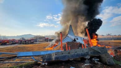 Plane Crash in South Korea: 96 Dead as Jeju Airlines Flight Bursts into Flames