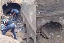 250-Foot-Deep Stepwell Found During ASI Survey in Sambhal: A Key Discovery from the 1857 Revolt Era: Video