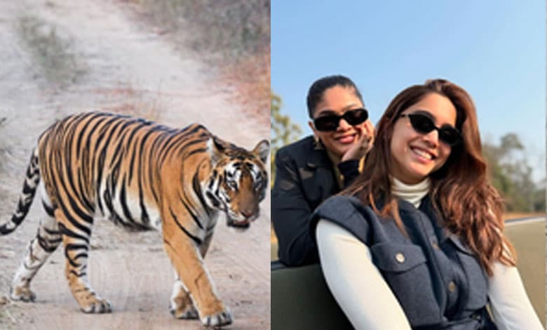 Sharvari’s Christmas is all about safari, stars and tigers