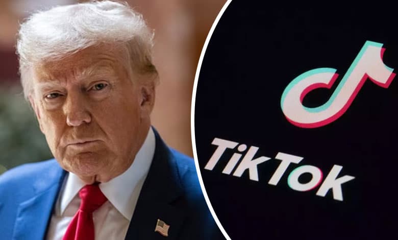 Trump asks Supreme Court to delay TikTok ban so he can weigh in after he takes office