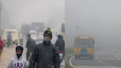 Weather Update: Cold Wave Intensifies in Telangana and Andhra Pradesh