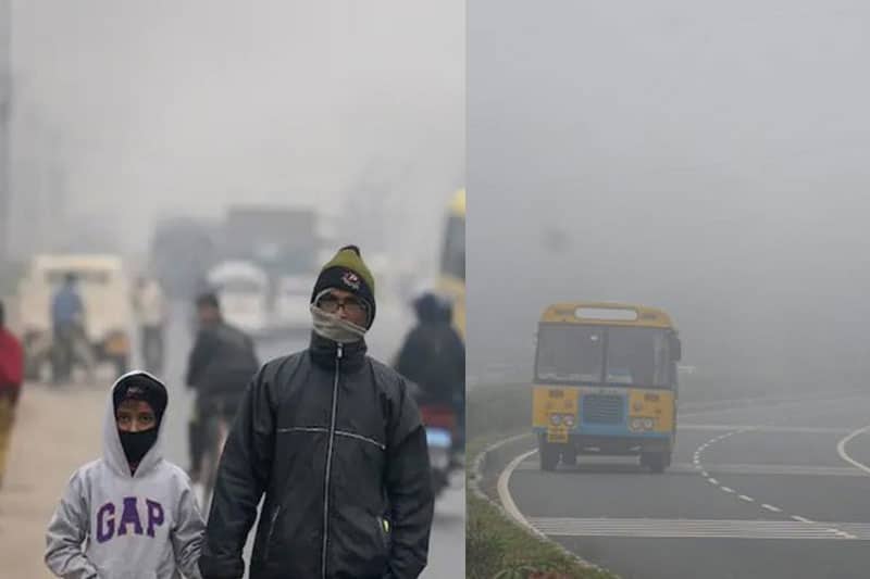 Weather Update: Cold Wave Intensifies in Telangana and Andhra Pradesh