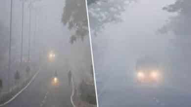 Hyderabad Weather: Cold Waves and Haze to Continue – IMD Issues Yellow Alert, Check Full Week Forecast