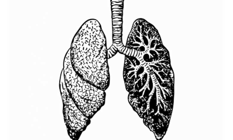 Study Reveals Ozone Therapy as Promising Treatment for Sepsis-Induced Lung Injury