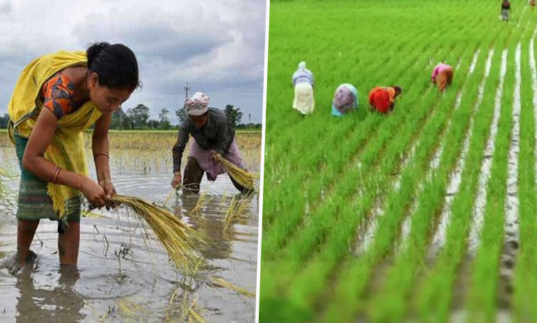 India Positioned for Significant Growth in Agricultural Exports by 2025: Report