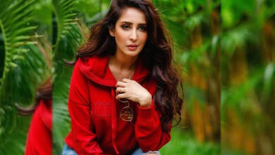 Chahatt Khanna Reacts to Instagram Account Hacking Incident