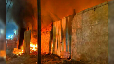 Fire Breaks Out at Steel Manufacturing Plant in Andhra Pradesh; Several Workers Injured